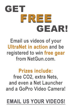 Video Promotion