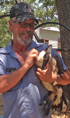 Goose Rescue